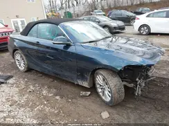 WBA1L9C52GV324181 2016 BMW 2ER