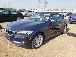 WBA1L9C54GV324683 2016 BMW 2ER