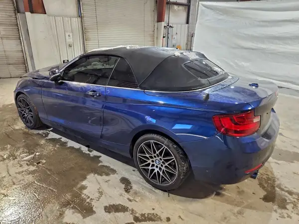 WBA1L9C54GV325641 2016 BMW 2ER - Image 2