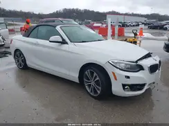 WBA1L9C55GV325115 2016 BMW 2ER
