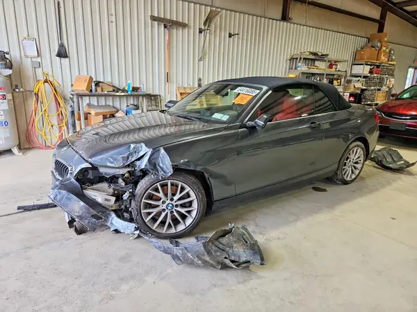 WBA1L9C55GV325440 2016 BMW 2ER - Image 1