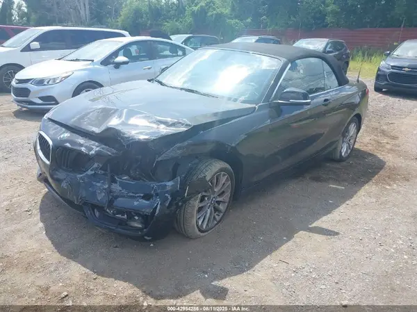 WBA1L9C55GV325471 2016 BMW 2ER - Image 2
