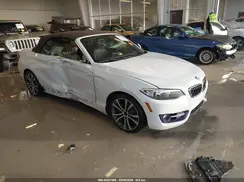 WBA1L9C56GV325348 2016 BMW 2ER