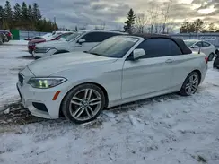 WBA1L9C56GV768020 2016 BMW 2ER