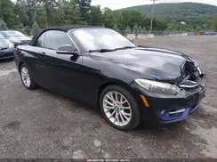 WBA1L9C58GV325299 2016 BMW 2ER