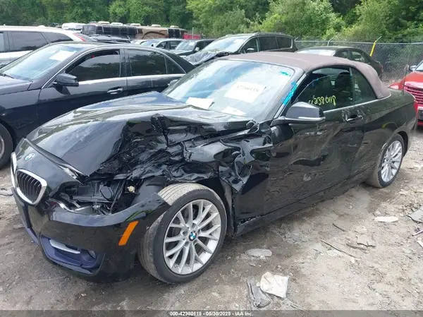 WBA1L9C58GV767841 2016 BMW 2ER - Image 2