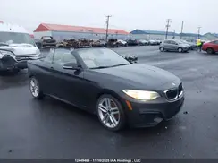 WBA1L9C59GV324727 2016 BMW 2ER