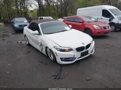 WBA1L9C59GV325294 2016 BMW 2ER