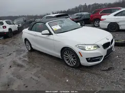 WBA1L9C59GV767802 2016 BMW 2ER