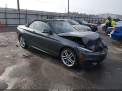 WBA1L9C5XGV324932 2016 BMW 2ER