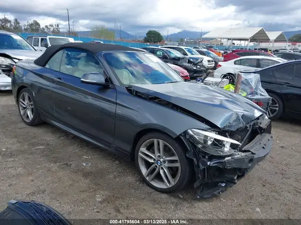 WBA1L9C5XGV767324 2016 BMW 2ER - Image 1