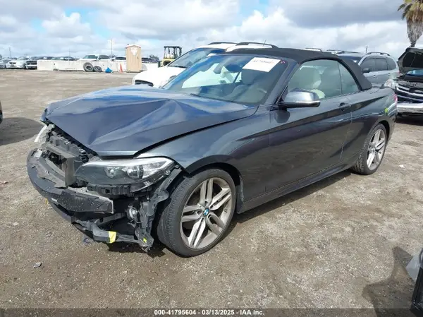 WBA1L9C5XGV767324 2016 BMW 2ER - Image 2