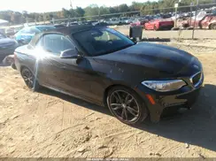 WBA1M1C54GV394179 2016 BMW M2