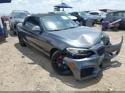 WBA1M1C55GV393977 2016 BMW 2ER