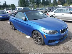 WBA1M1C58GV394380 2016 BMW 2ER