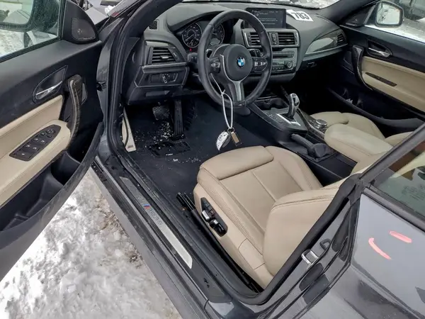 WBA1M5C58GV326975 2016 BMW 2ER - Image 8