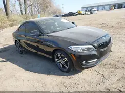 WBA2F9C31H7A40317 2017 BMW 2ER