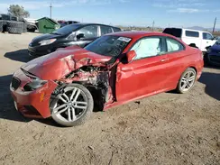 WBA2F9C31HV635922 2017 BMW 2ER
