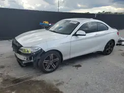 WBA2F9C31HV664904 2017 BMW 2ER