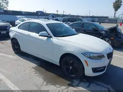 WBA2F9C32HV664863 2017 BMW 2ER