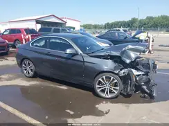 WBA2F9C32HV665074 2017 BMW 2ER