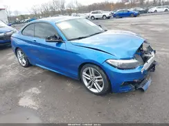WBA2F9C33HV665021 2017 BMW 2ER
