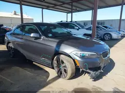 WBA2F9C33HV984189 2017 BMW 2ER