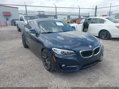 WBA2F9C38HV664981 2017 BMW 2ER