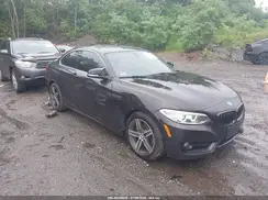 WBA2F9C39HV635893 2017 BMW 2ER