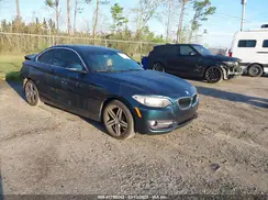 WBA2F9C3XHV983993 2017 BMW 2ER