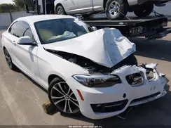WBA2F9C52HV664363 2017 BMW 2ER