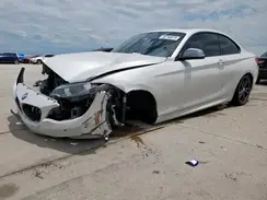 WBA2G1C31HV639368 2017 BMW 2ER