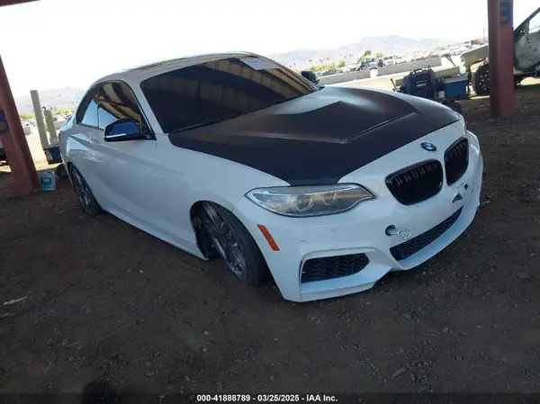 WBA2G1C39HV639568 2017 BMW 2ER - Image 1