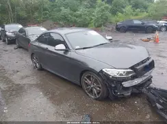 WBA2G3C30HV641415 2017 BMW 2ER