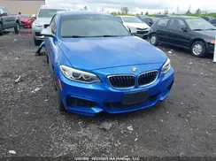 WBA2G3C33HV641585 2017 BMW 2ER