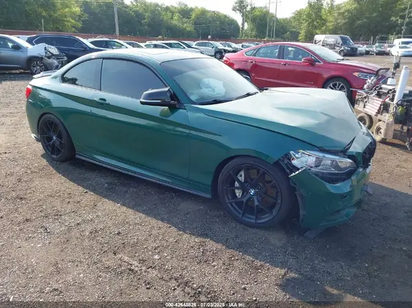 WBA2G3C35HV641569 2017 BMW 2ER - Image 1