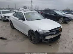 WBA2G3C35HV641586 2017 BMW 2ER
