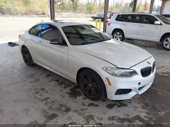 WBA2G3C52HV640963 2017 BMW 2ER