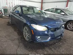 WBA2H9C31H7A25858 2017 BMW 2ER