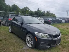 WBA2H9C36HV986948 2017 BMW 2ER