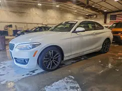 WBA2J1C03M7J10493 2021 BMW 2ER