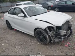 WBA2J1C04L7E55517 2020 BMW 2ER