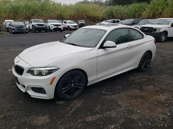 WBA2J1C06M7G56658 2021 BMW 2ER - Image 1