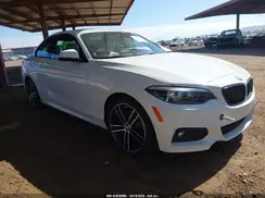 WBA2J1C08L7E59750 2020 BMW 2ER