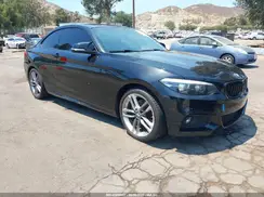 WBA2J1C51JVD08804 2018 BMW 2ER