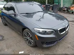 WBA2J1C51K7D52548 2019 BMW 2ER