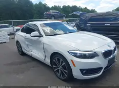 WBA2J1C51KVD10103 2019 BMW 2ER