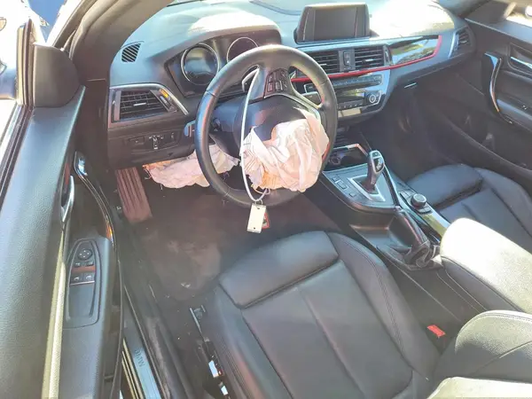 WBA2J1C52JVD09251 2018 BMW 2ER - Image 8