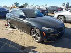 WBA2J1C53KVD10183 2019 BMW 2ER