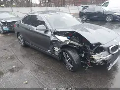 WBA2J1C54K7D21519 2019 BMW 2ER